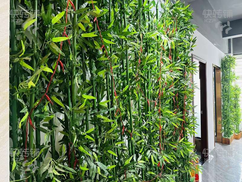 大朗松佛路美容養生會所轉讓【5年老店、15個房間、電梯直達、周邊產業園、酒店，小區樓盤圍繞】