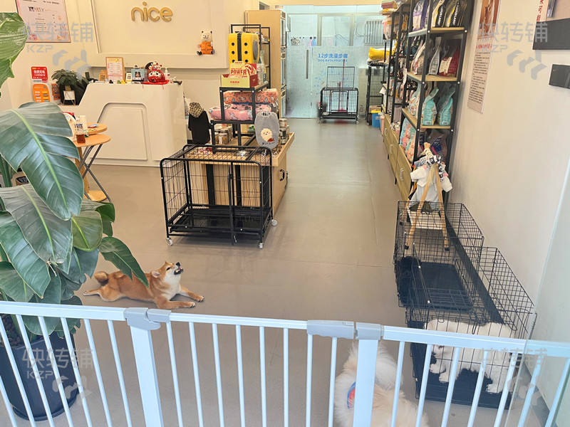 低價轉急！莞城萬科中心寵物店轉讓/可空轉【商業街路口位置、經營7年時間有固定熟客，附近無競爭，適合任何行業】