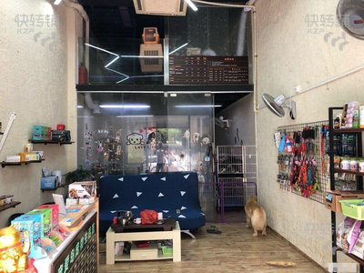 盈利中中高端宠物店