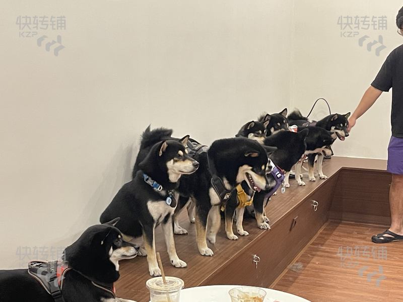 莞城‘松苑小區’咖啡店轉讓【網紅打卡店、經營2年時間、周邊住宅密集、近東莞理工學院、莞初校區】