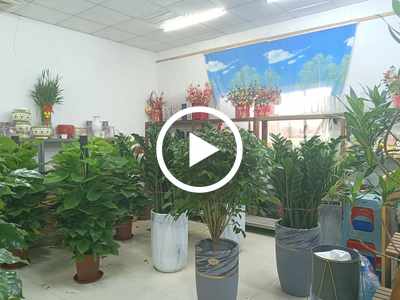 塘廈太嶺古別墅旁旺鋪轉(zhuǎn)讓或分租【空鋪轉(zhuǎn)讓，除了餐飲可以做各種行業(yè)】