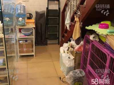 宠物店转让