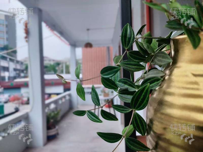 樟木頭獨棟咖啡冷飲小吃店轉讓或轉租一樓合作經營【挨著政府、周邊全是小區和別墅、富人區、有穩定客源】