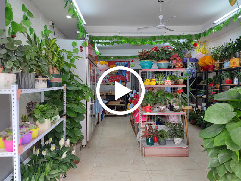 可空转-低价急转！东城下桥盈利中花店转让【路口临街位置，靠近水果批发市场和地铁站】