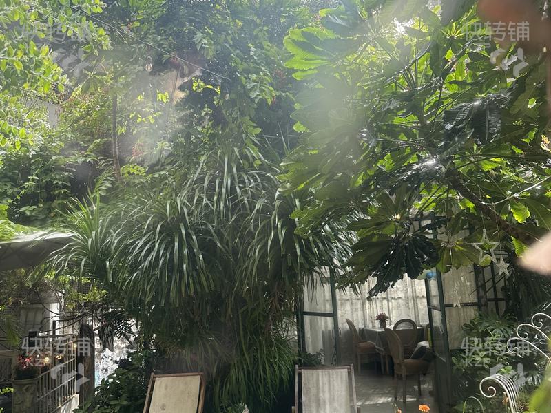 四年老店整转）石岐电科大盈利中咖啡店转让，莫奈花园式花房咖啡馆，唯美有氛围感，附近学校、大型小区、商圈等围绕，做了四年多，有稳定的熟客回头客和好口碑。适合做咖啡、简餐、西餐、蛋糕、小吃、私房菜，餐饮 等都可以，无行业限制，欢迎咨询联系！